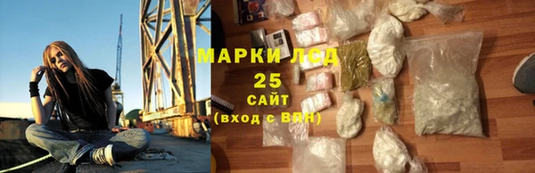 ПСИЛОЦИБИНОВЫЕ ГРИБЫ Каменногорск