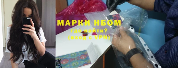spice Каменка