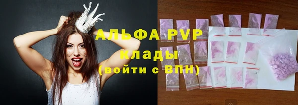 spice Каменка
