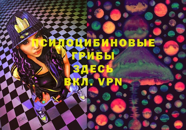 крисы Инсар