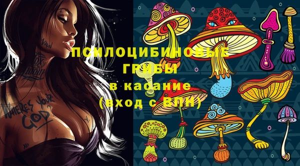 гидра Кинешма