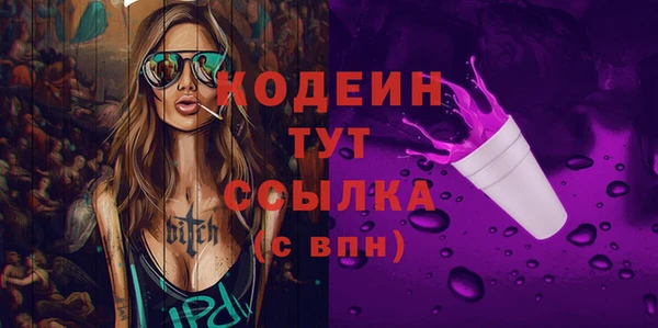крисы Инсар