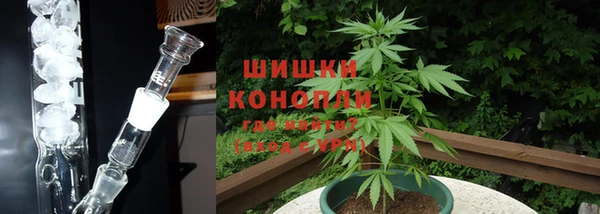 крисы Инсар
