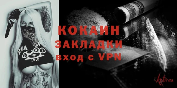 spice Каменка