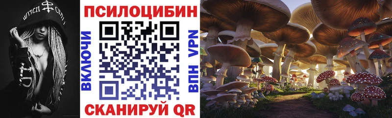 Купить  Калач-на-Дону  Псилоцибиновые грибы мухоморы 